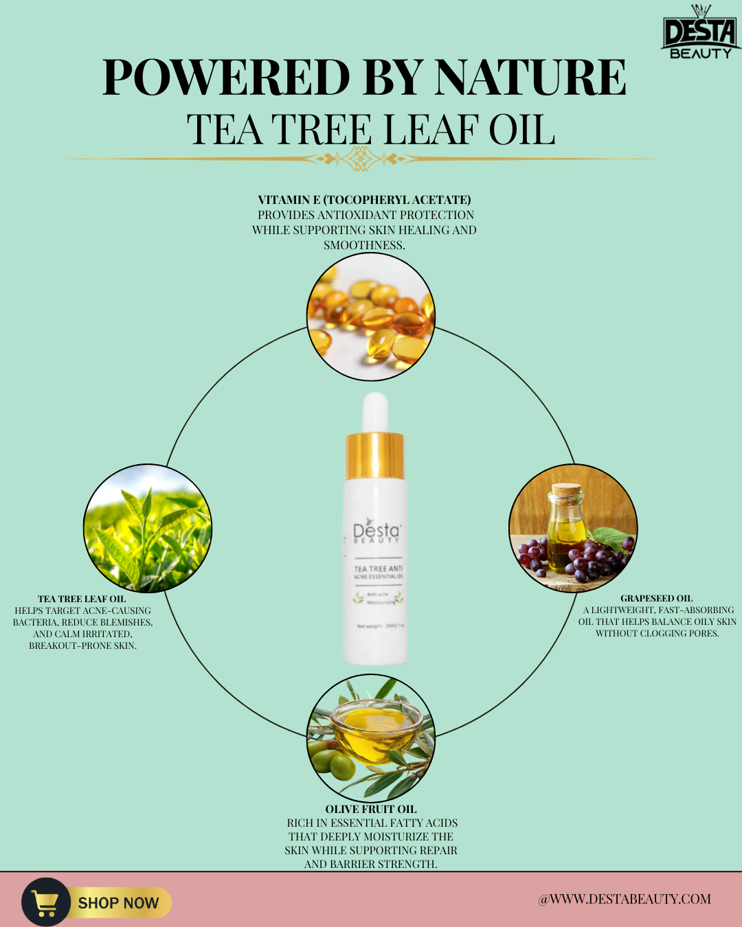 All Natural Tea Tree leaf Oil Anti Acne Essential Oil - Hydraterende Olijf Fruit